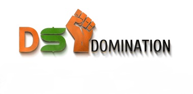 DS Domination Logo