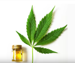 Top 10 CBD Hemp Oil Affiliate Programs - A cannabis leaf and a bottle of oil